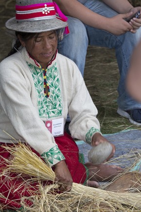 Alejandrina Huillca Puma pounded ichu grass with a rock to soften it and prepare it to be woven into rope for the Q’eswachaka bridge. Photo by Francisco Guerra, Ralph Rinzler Folklife Archives